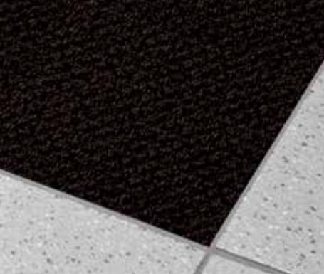 Eingangsmatte Fortus FNA